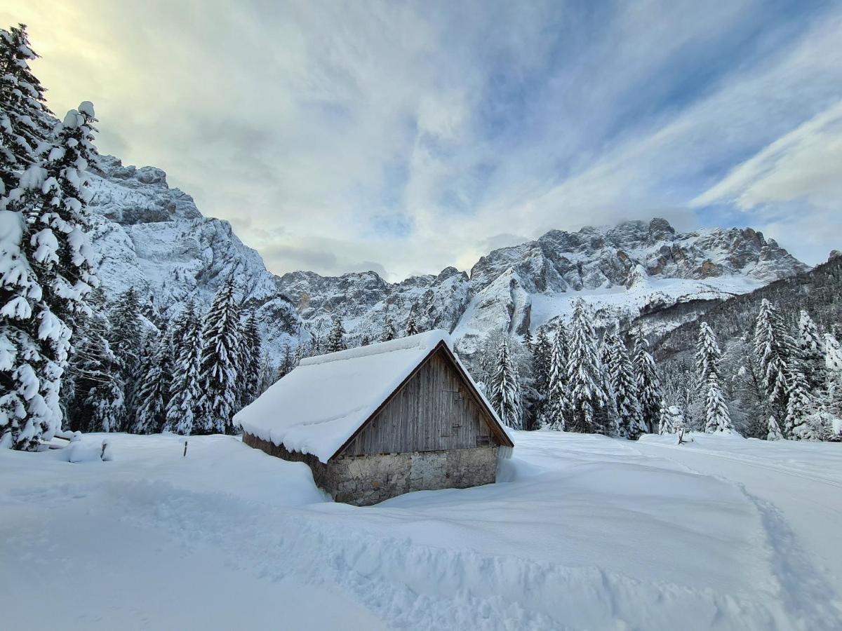 Chalet Camporosso Camporosso  ภายนอก รูปภาพ