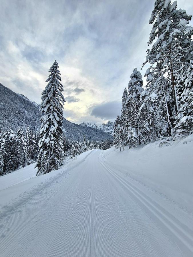 Chalet Camporosso Camporosso  ภายนอก รูปภาพ